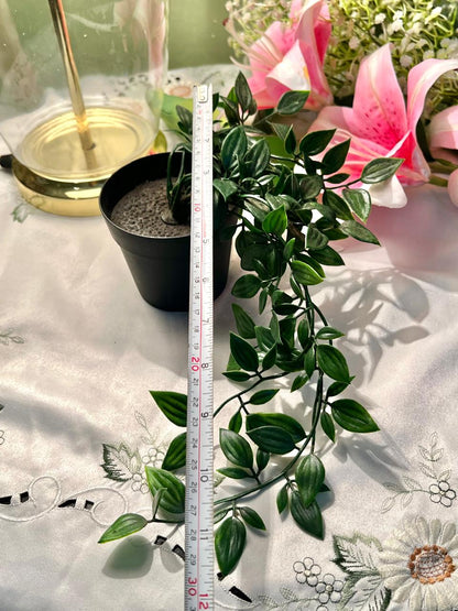 Faux Trailing Green Plant in Black Planter, Approx. 12 in