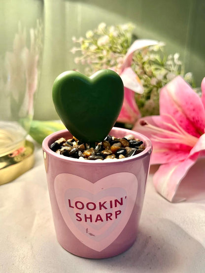 PLDZ Lookin’ Sharp Heart Cactus Decor, Approx. 4.75 in