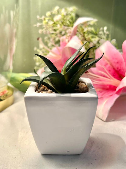 Faux Green Succulent in White Square Planter, Approx. 4.5 in