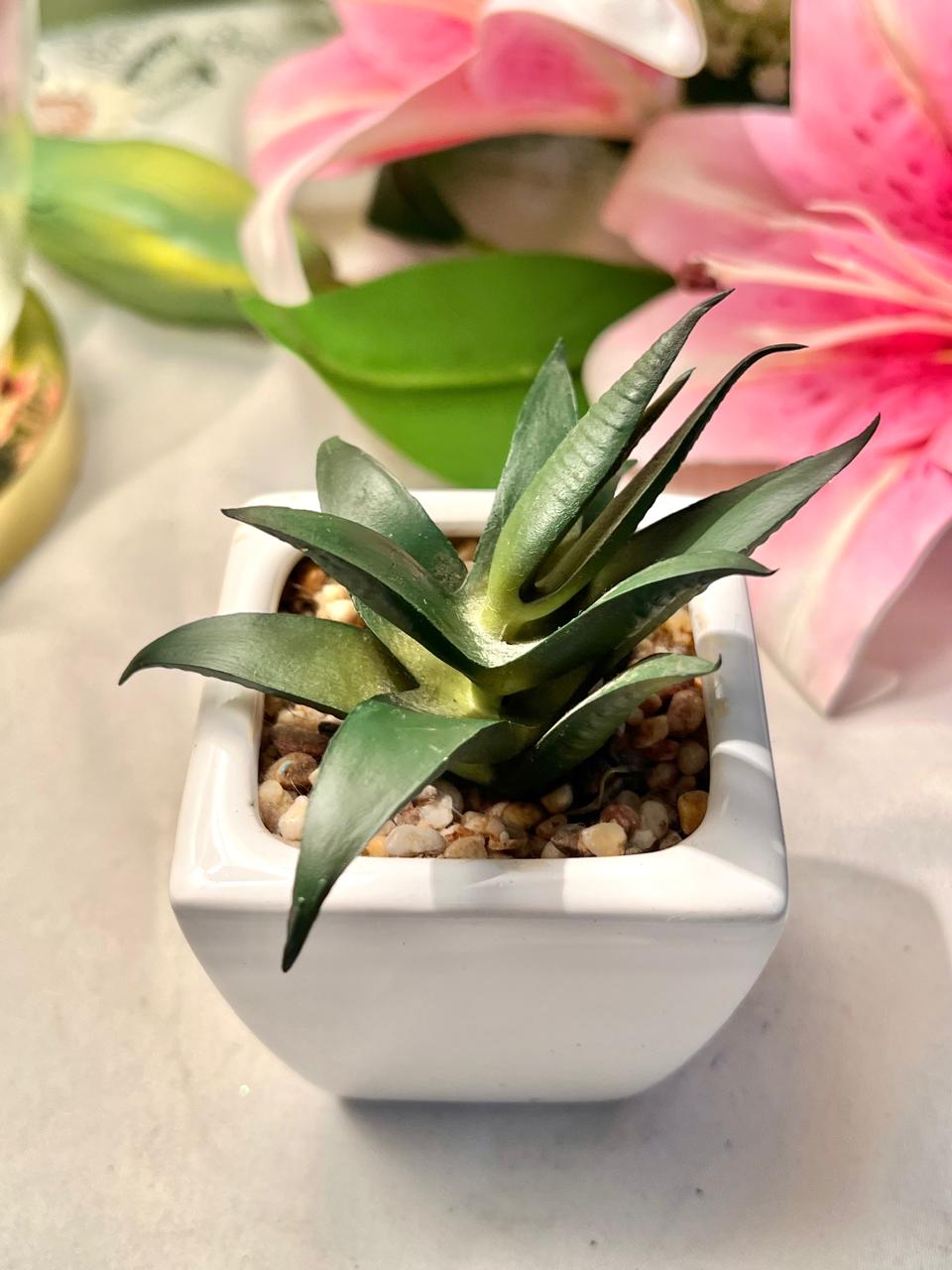 Faux Green Succulent in White Square Planter, Approx. 4.5 in