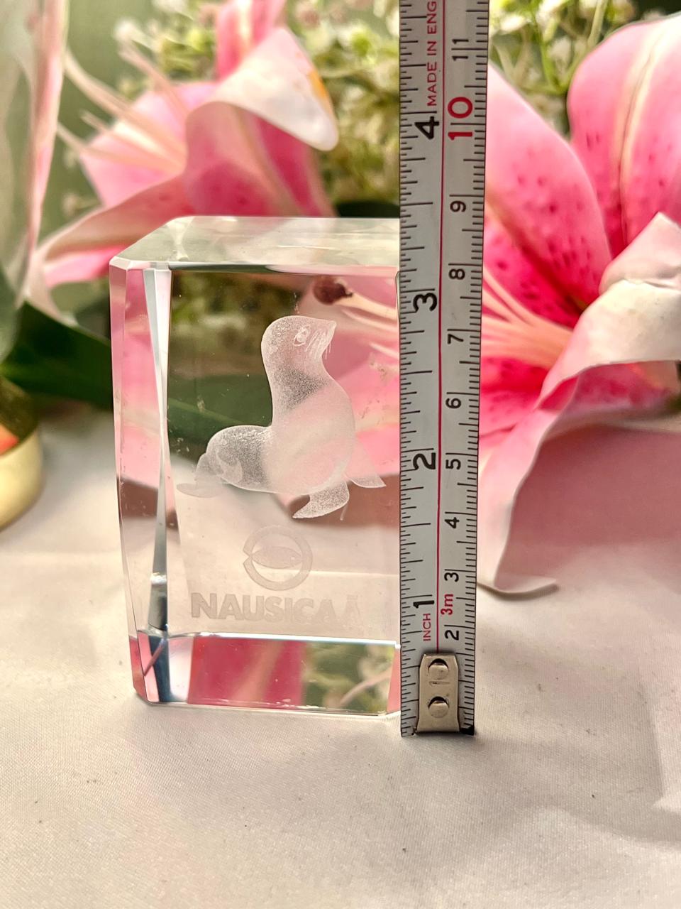 Clear Crystal Sea Lion Paper weight Decorative Block