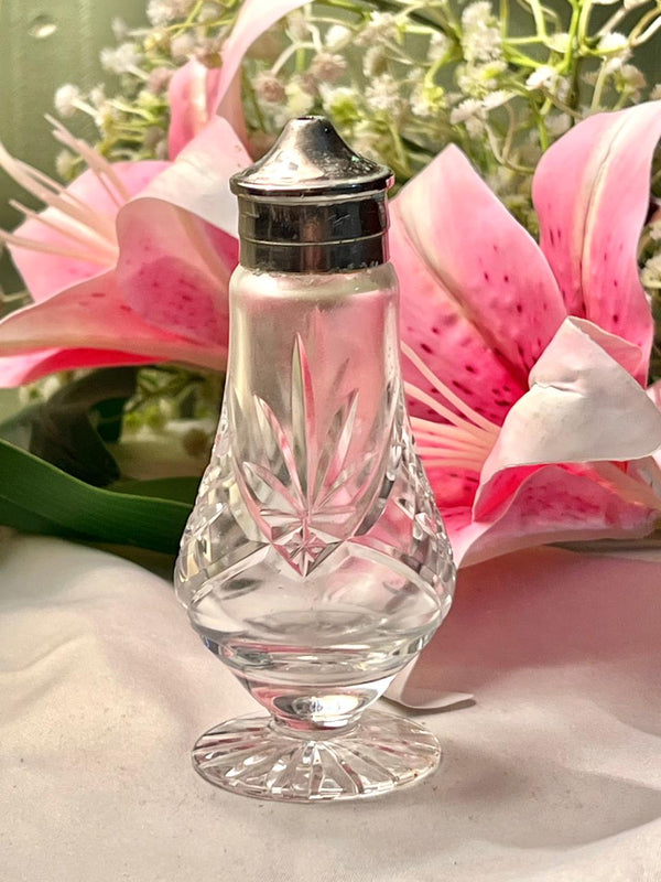 Vintage Clear Crystal Condiment Salt & Pepper Shaker Set 4.5 in
