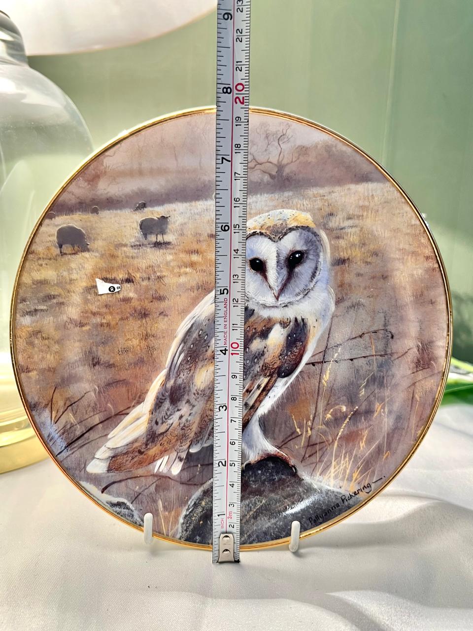 Pollyanna Pickering Barn Owls Porcelain Wall Plate 8 in