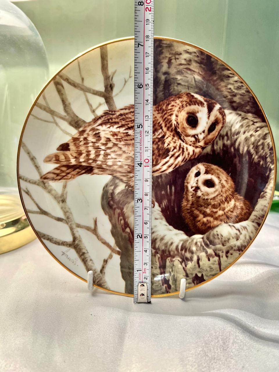 The Forest Year Owls August Twilight Porcelain Wall Plate 7 in