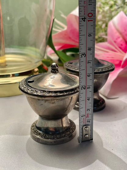 Silver-Tone Condiment Pots with Blue Crystal Liners (each)