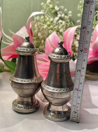 Silver-Tone Metal Condiment Shakers 2-Piece Set 4 in