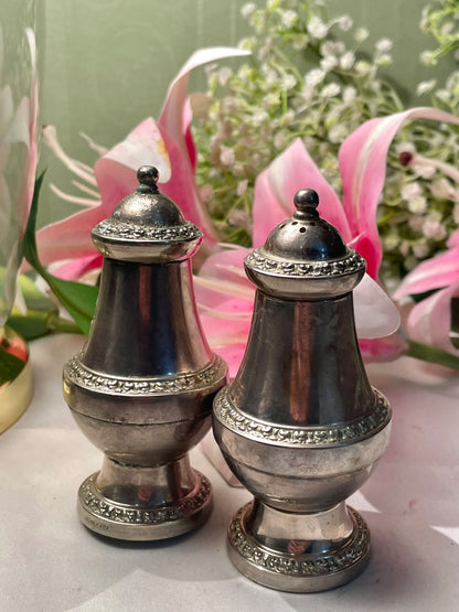 Silver-Tone Metal Condiment Shakers 2-Piece Set 4 in