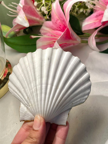 Vintage Shell-Shaped Floral Dish White & Gold 10 cm