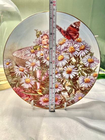 Border Fine Bone China Michaelmas Daisy Fairy Wall Plate 18 cm
