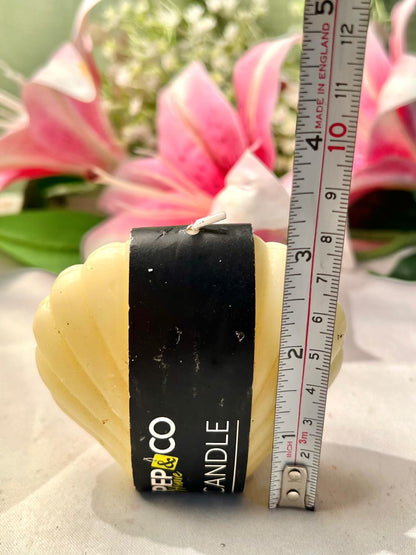 PEP&CO Home Cream Shell Candle 8cm - 1 Piece