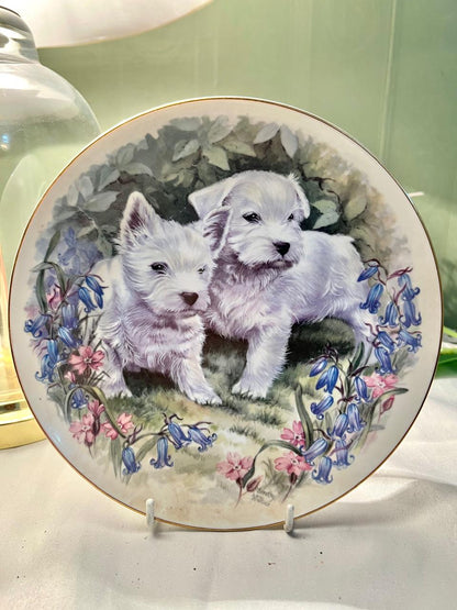 White Terrier Puppies Floral Decorative Plate 20cm