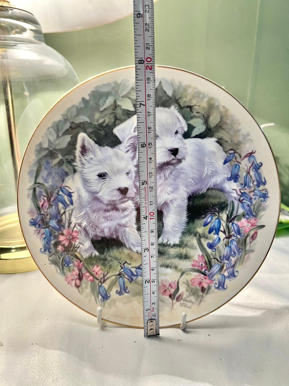 White Terrier Puppies Floral Decorative Plate 20cm