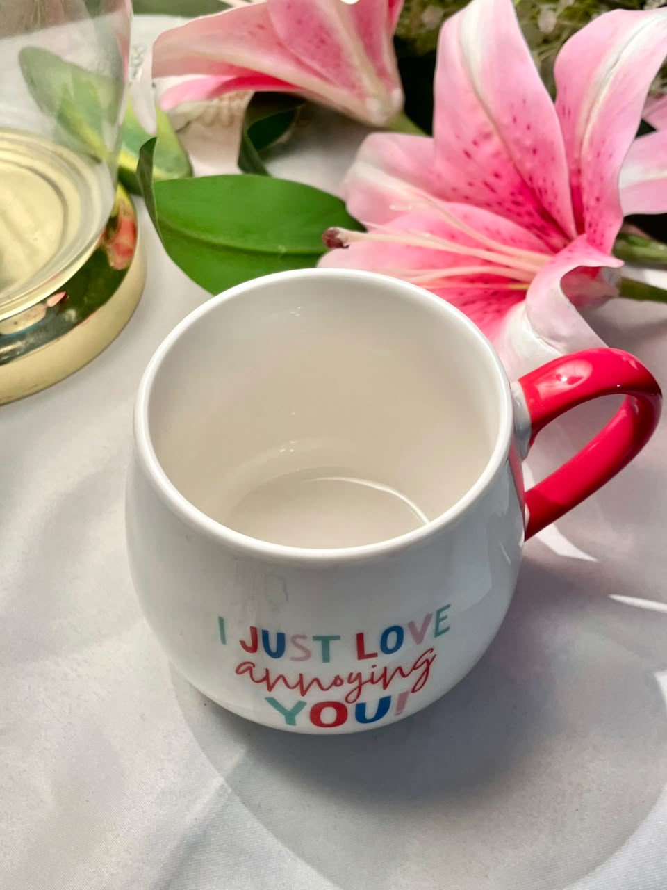 Sportswift “I Just Love Annoying You” Novelty Mug Pink Handle 9cm