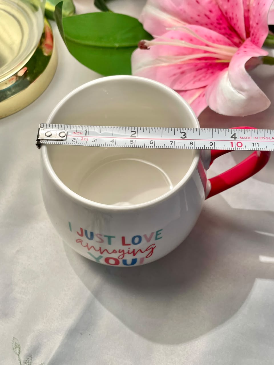 Sportswift “I Just Love Annoying You” Novelty Mug Pink Handle 9cm