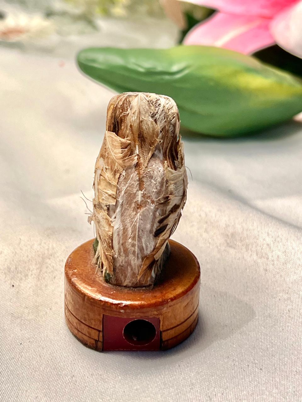 Miniature Owl Figurine on Round Base – Approx. 2.5 Inch
