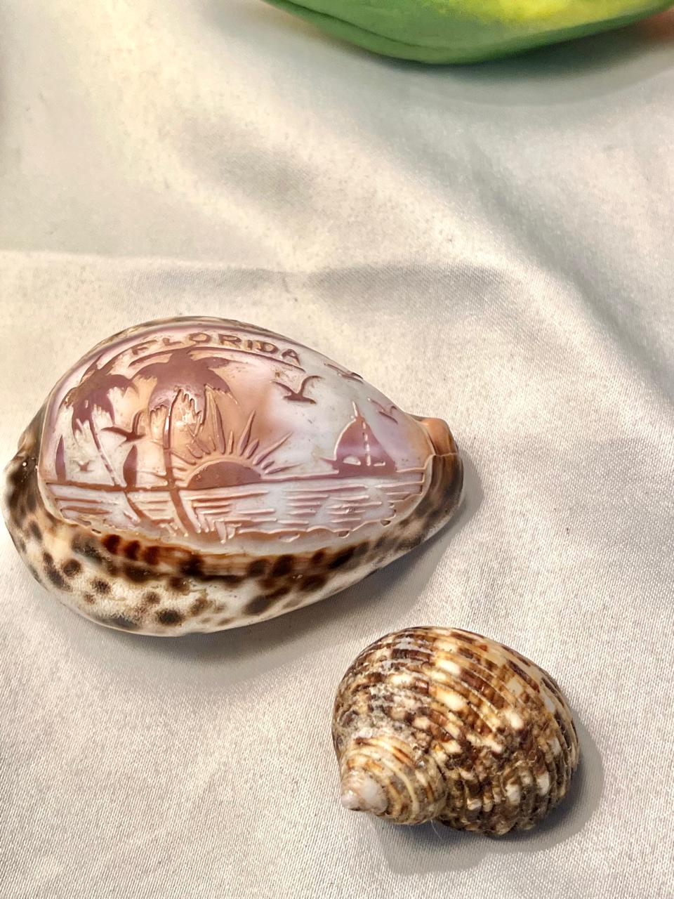 Decorative Seashell Set 2-Piece Carved Coastal Design 10cm