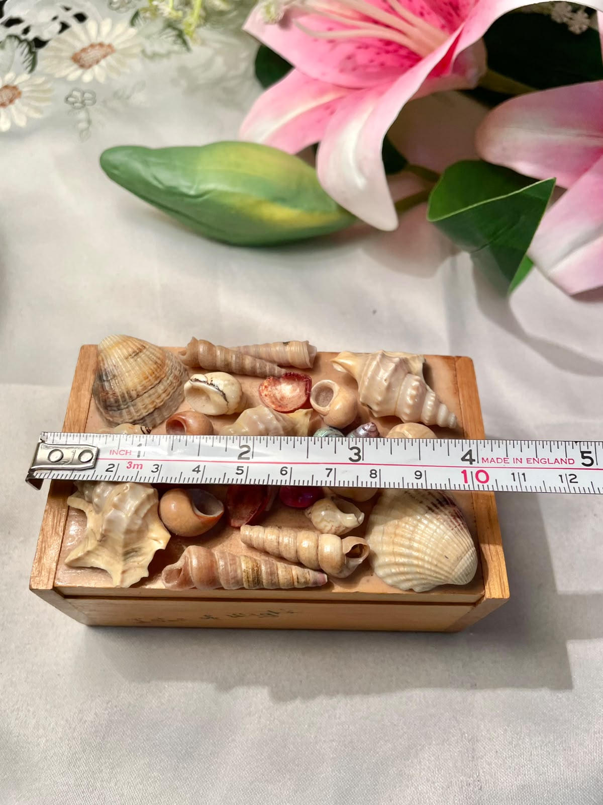 Vintage Wooden Seashell Trinket Box Approx. 4.5 in