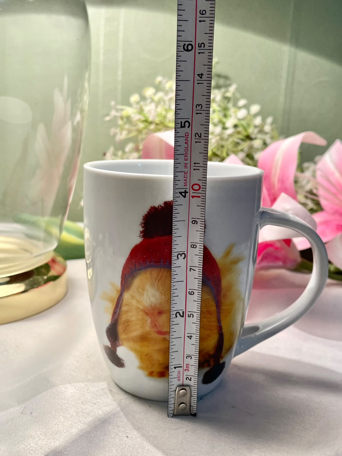 Otter House Guinea Pig Red Hat Mug 4 in