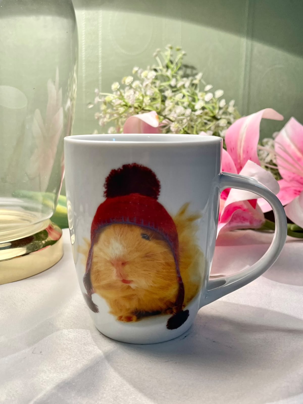 Otter House Guinea Pig Red Hat Mug 4 in
