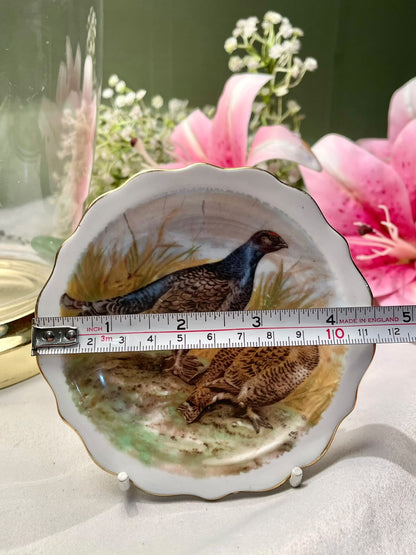 Doslyn Fine Bone China Game Bird Wall Plate 12 cm