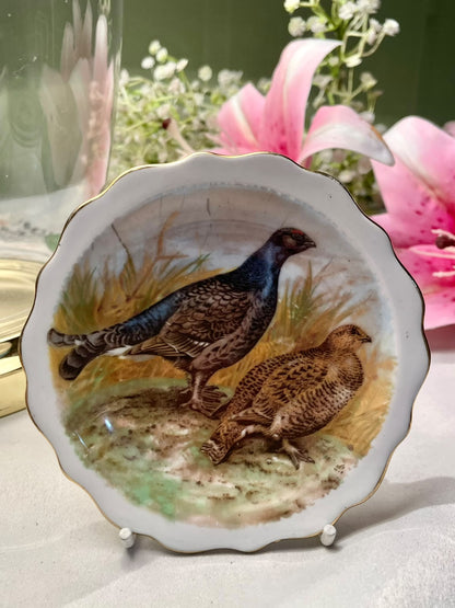 Doslyn Fine Bone China Game Bird Wall Plate 12 cm