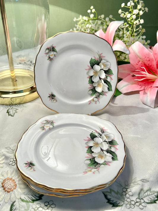 Set of 4 Crown Royal Bone China Floral Plates, 15 cm
