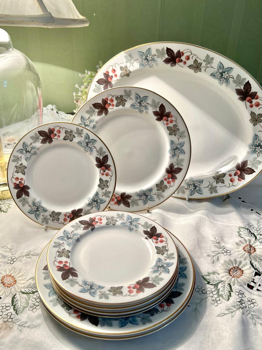 Royal Doulton Camelot English Translucent China Dinnerware Set 9 pcs