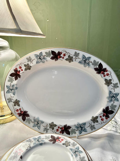 Royal Doulton Camelot English Translucent China Dinnerware Set 9 pcs