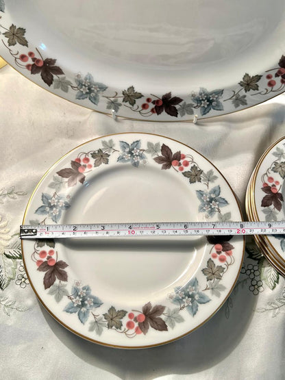 Royal Doulton Camelot English Translucent China Dinnerware Set 9 pcs