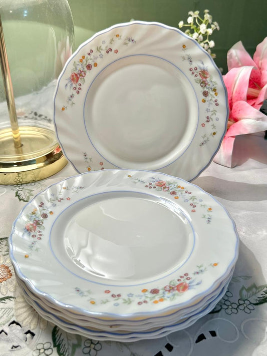 Vintage Arcopal France Floral Medium Plates Set of 6, 20 cm