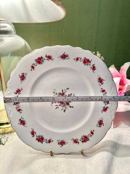 Vintage Royal Vale Bone China Rose Floral Plate 23 cm Made in England
