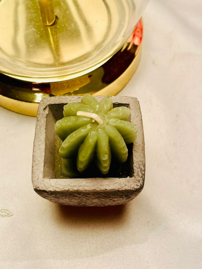 Green Cactus Scented Candle in Square Planter 8cm