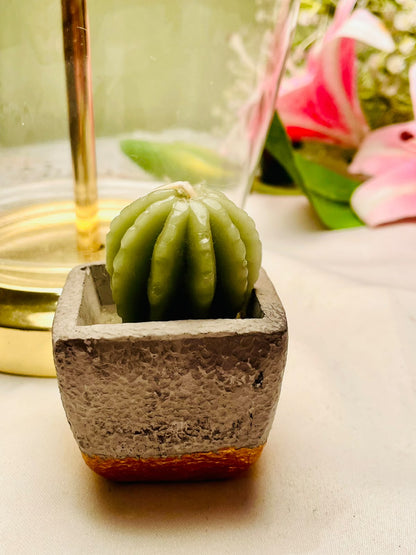 Green Cactus Scented Candle in Square Planter 8cm