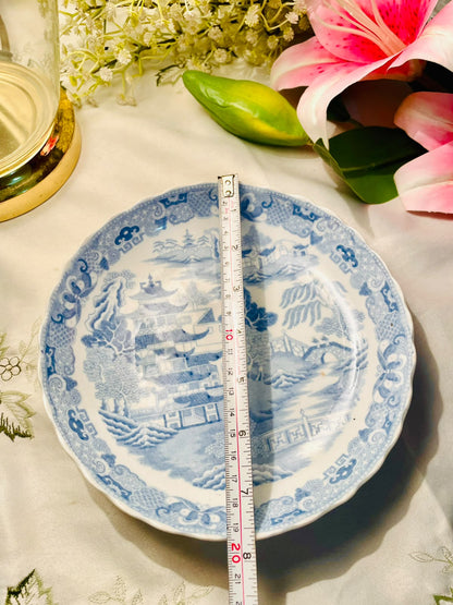 Blue & White Scenic Large Serving Bowl  8 Inch