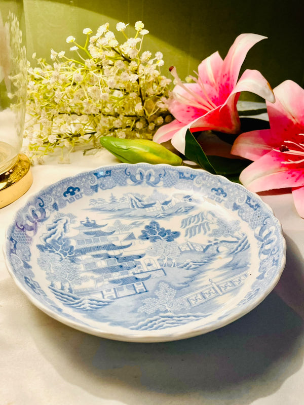 Blue & White Scenic Large Serving Bowl  8 Inch