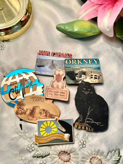 Vintage Novelty Fridge Magnets Set – 7 Mixed Designs