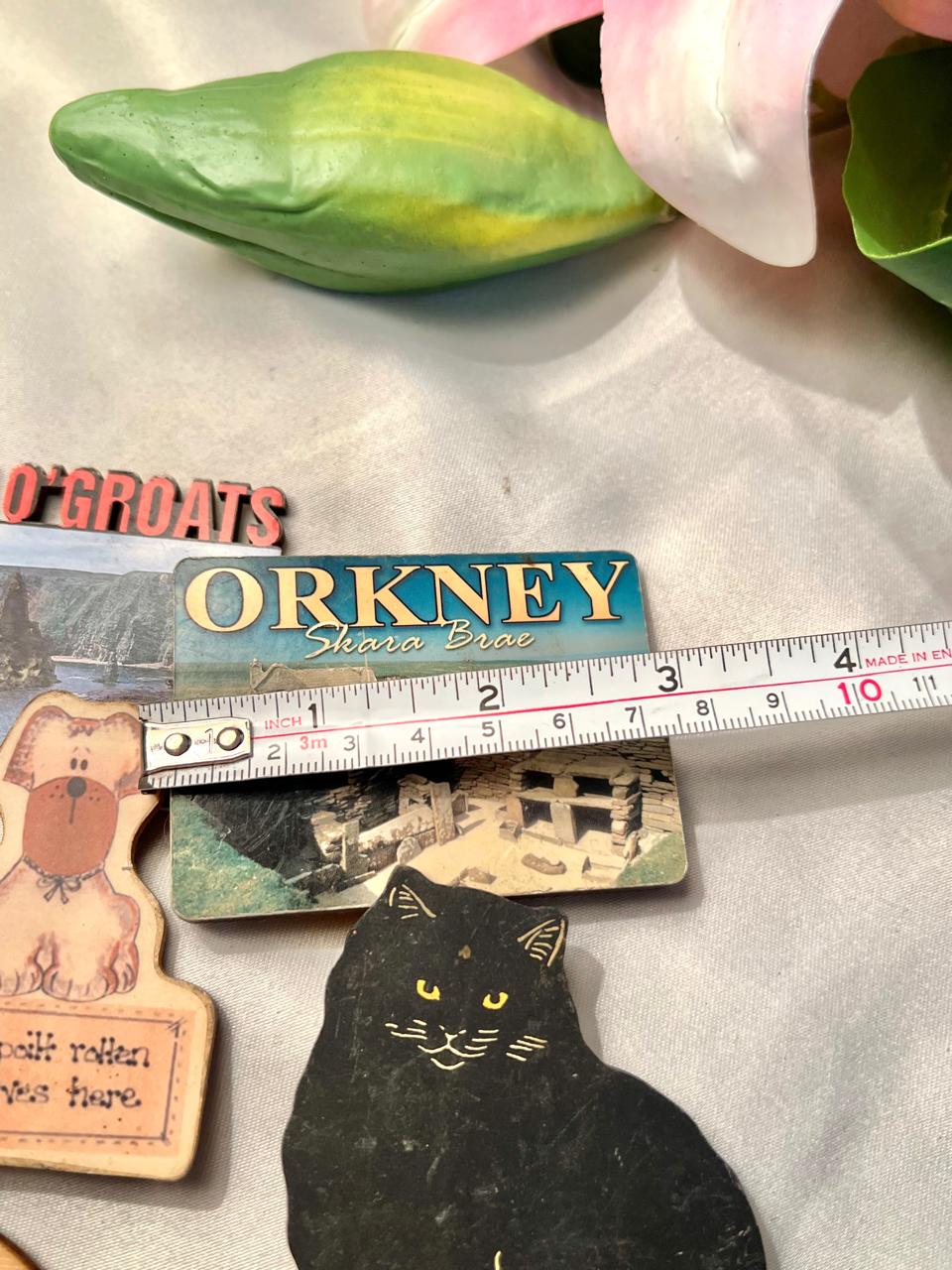 Vintage Novelty Fridge Magnets Set – 7 Mixed Designs