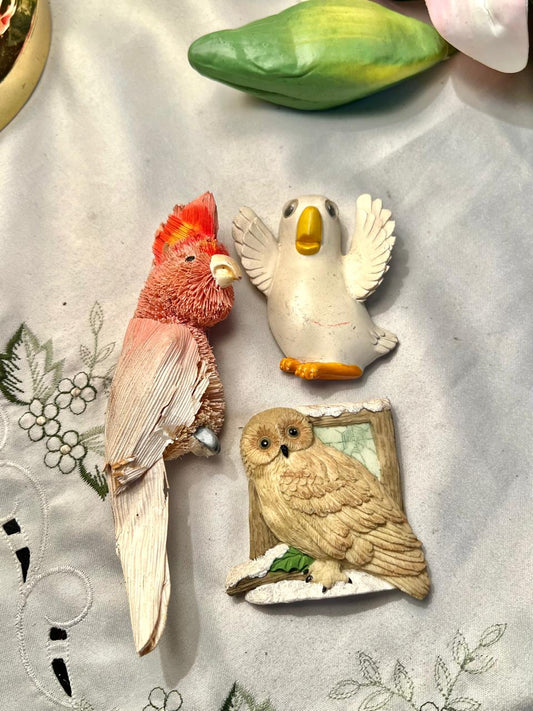 Vintage Bird Fridge Magnets Set of 3 – Parrot, Owl & Bird
