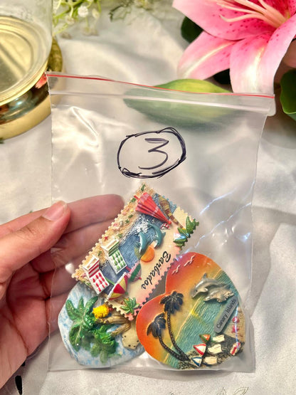 Set of 3 Tropical Travel Souvenir Fridge Magnets