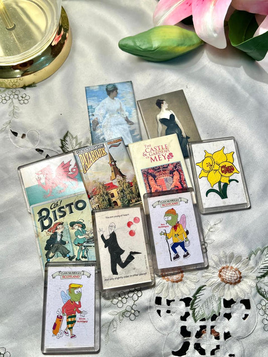 Assorted Travel & Novelty Fridge Magnets Set of 10