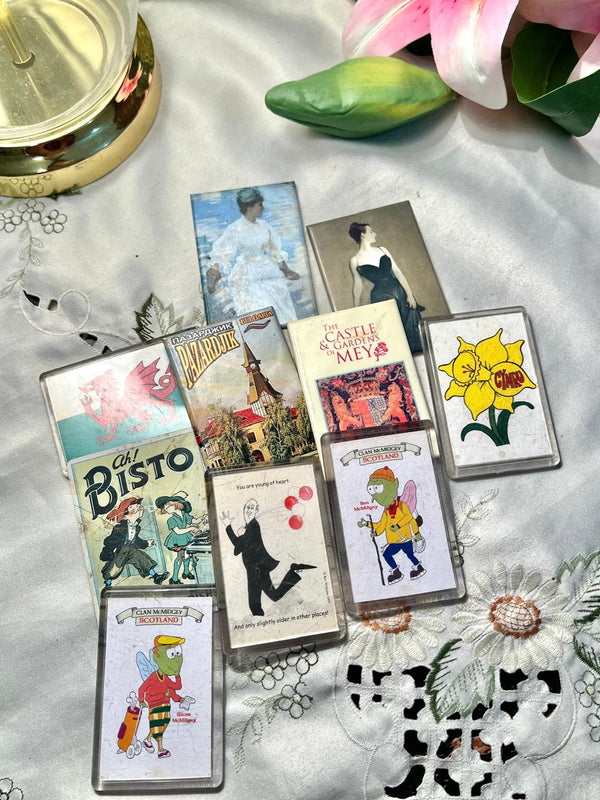 Assorted Travel & Novelty Fridge Magnets Set of 10