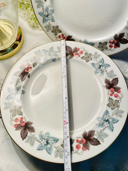 Royal Doulton Camelot TC1016 English China Dinner Plates  Set of 6 – 10.5"