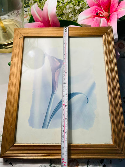 Calla Lily Framed Print Gold-Tone Frame Approx. 30 cm