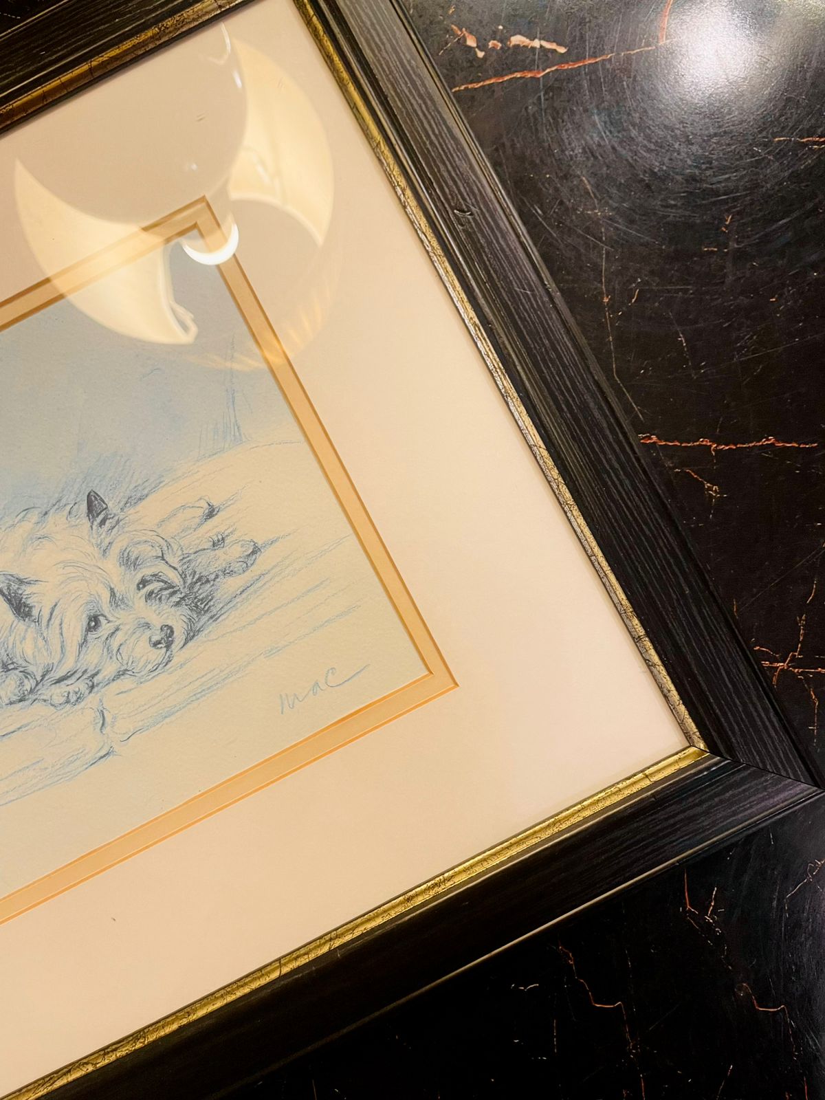 Vintage Dog Sketch Framed Art – Classic Pet Illustration