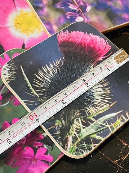 Castle Floral Coasters Set of 5 – Made in Scotland