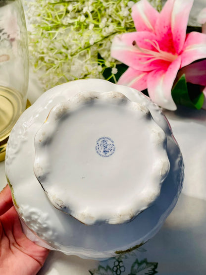 Connoisseur England Fine Bone China Botanical Large Planter