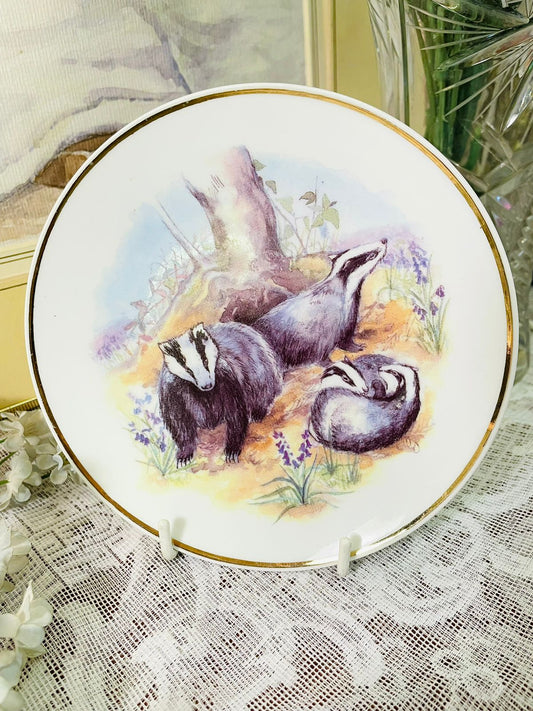 Vintage Wildlife of Britain Badgers Decorative Plate – 6 Inch