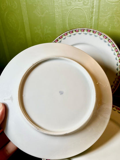 Pink Rose Floral Ceramic Plates Set of 4 Approx. 7 Inch