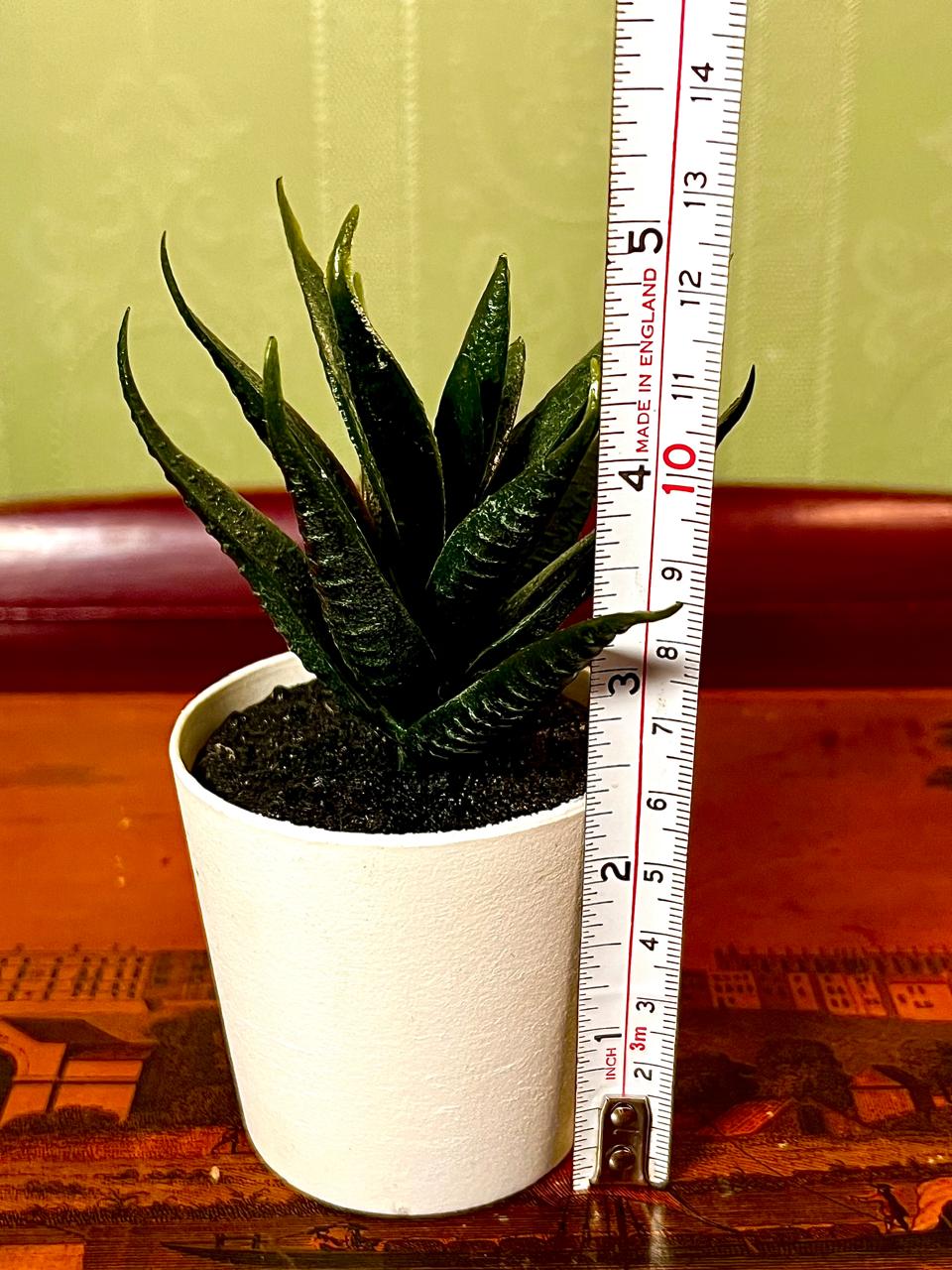 Mini Faux Snake Plant in White Pot | 5 Inch Decorative Planter