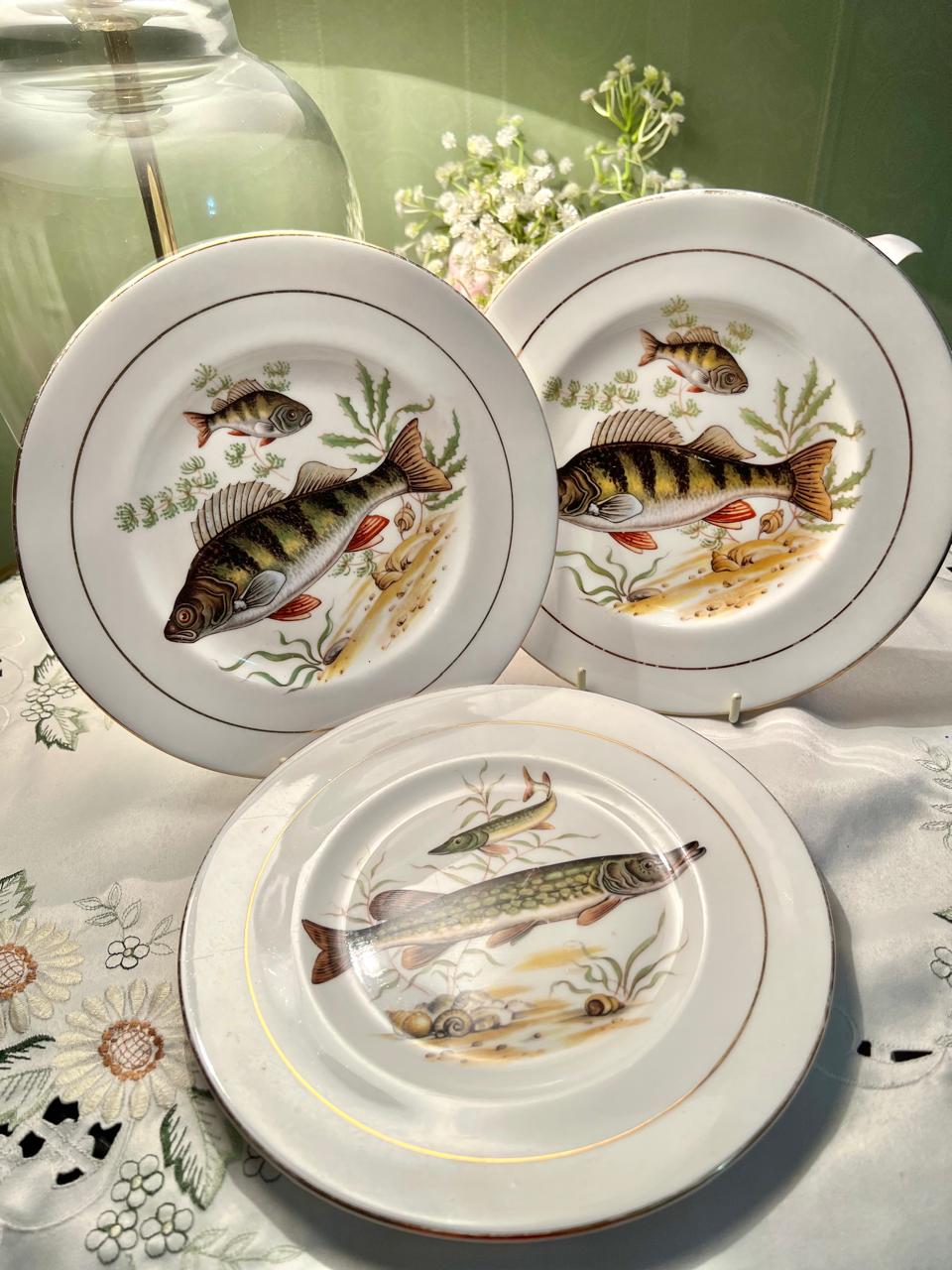 Royal Imperial Fish Design Fine Bone China Plates – 3 Piece Set